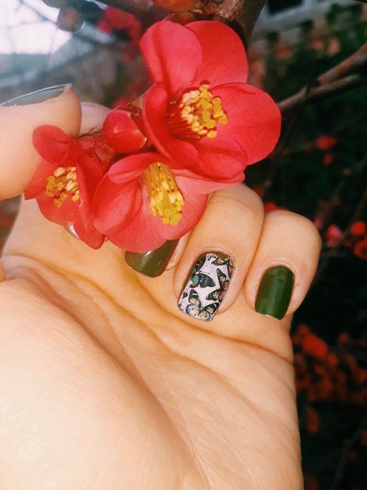 Nailf