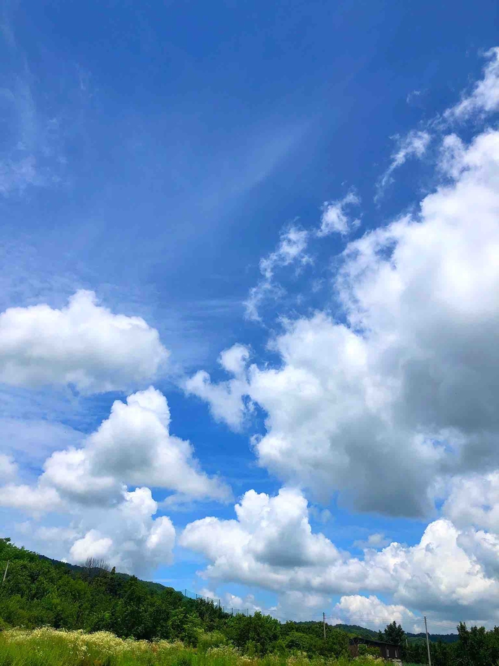 청명