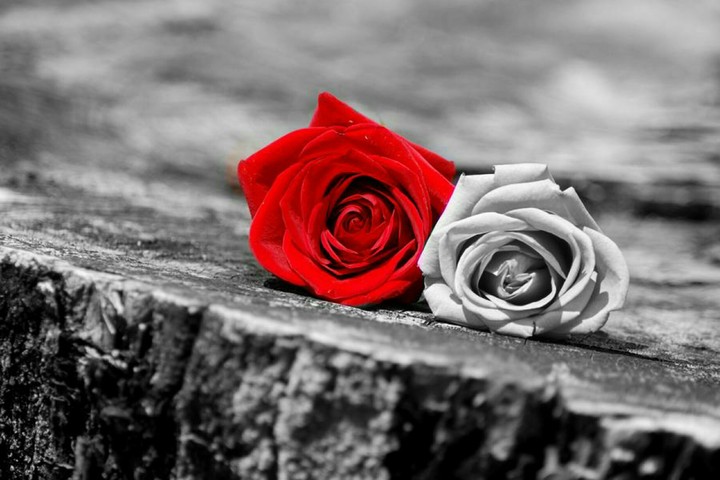 the beautiful flower