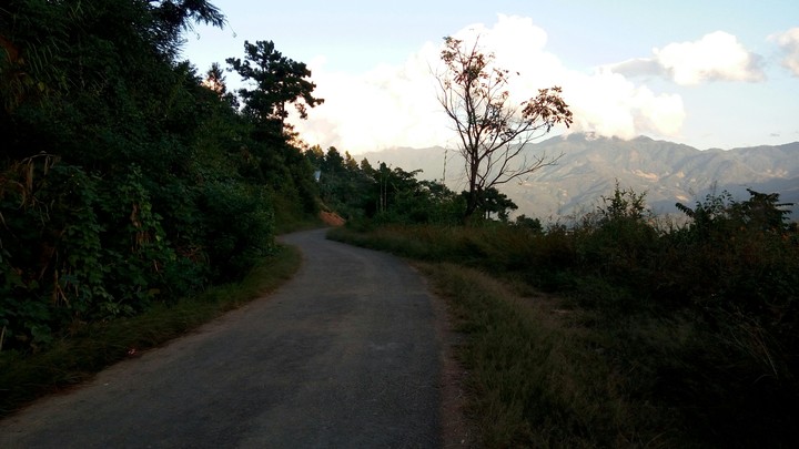 Nature