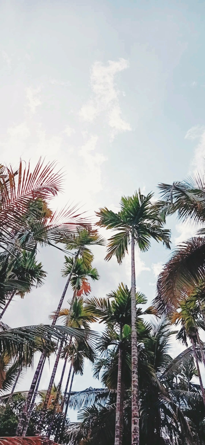 beauty of India