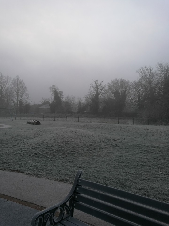 frosty morning