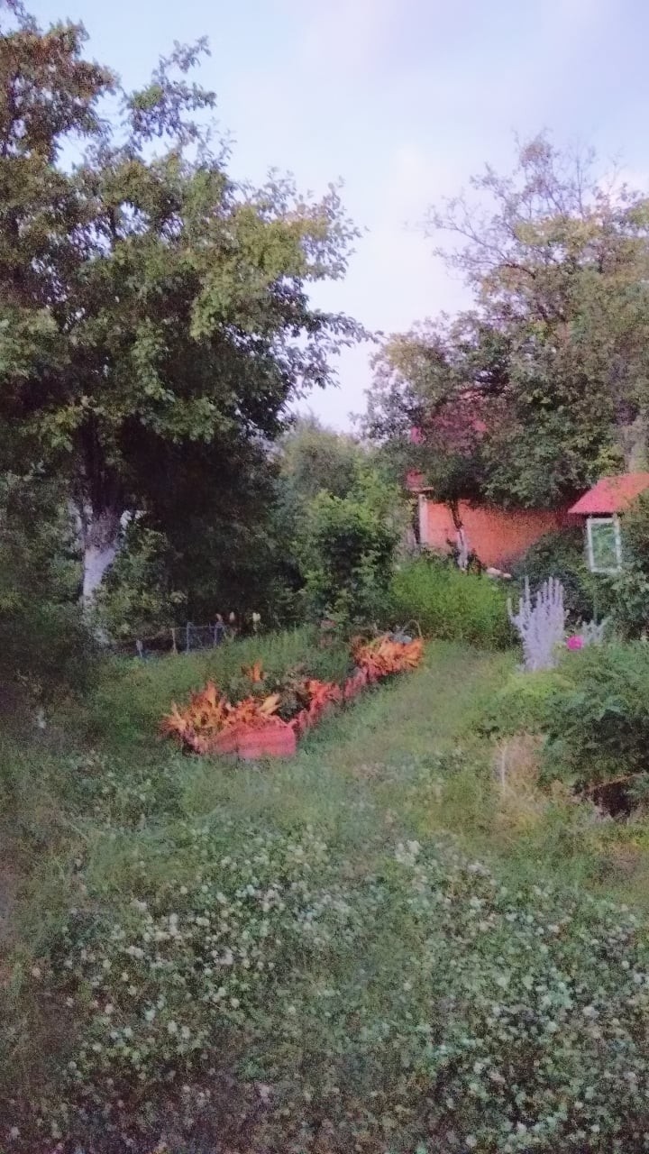 домик в саду