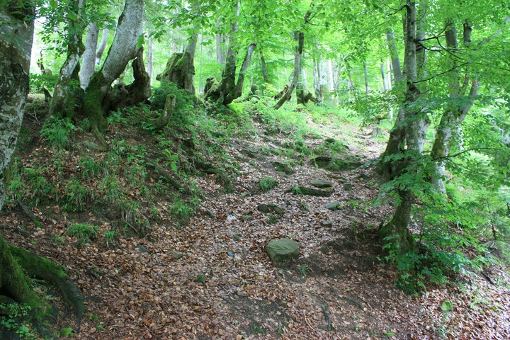 Secret trail