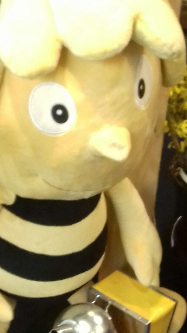 abeilles
