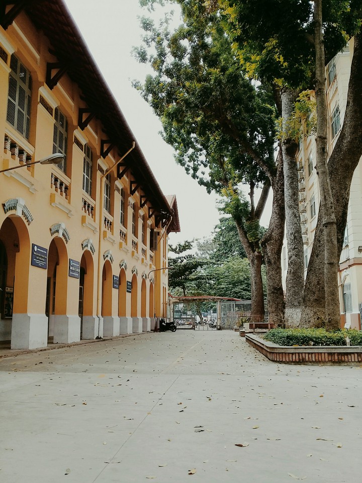 school