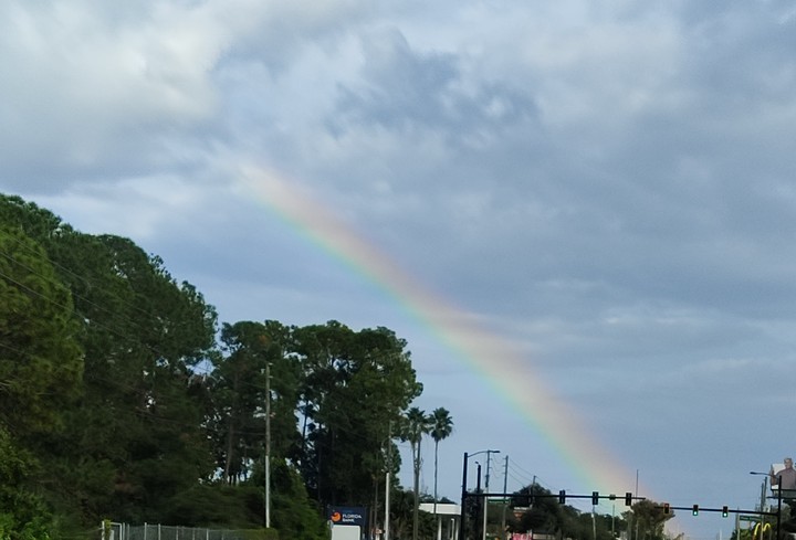 Rainbow