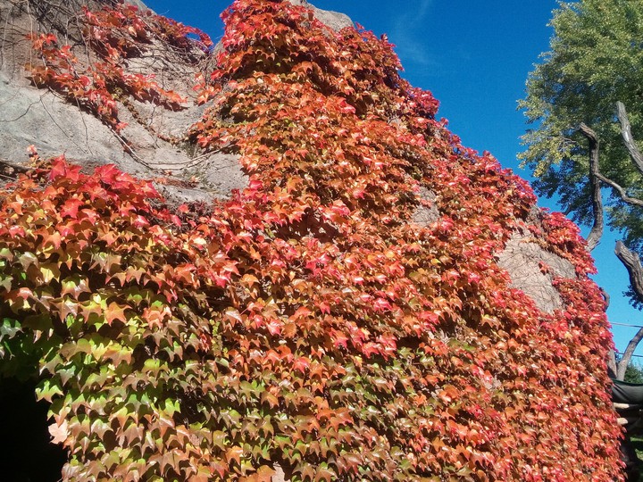 autumn colours