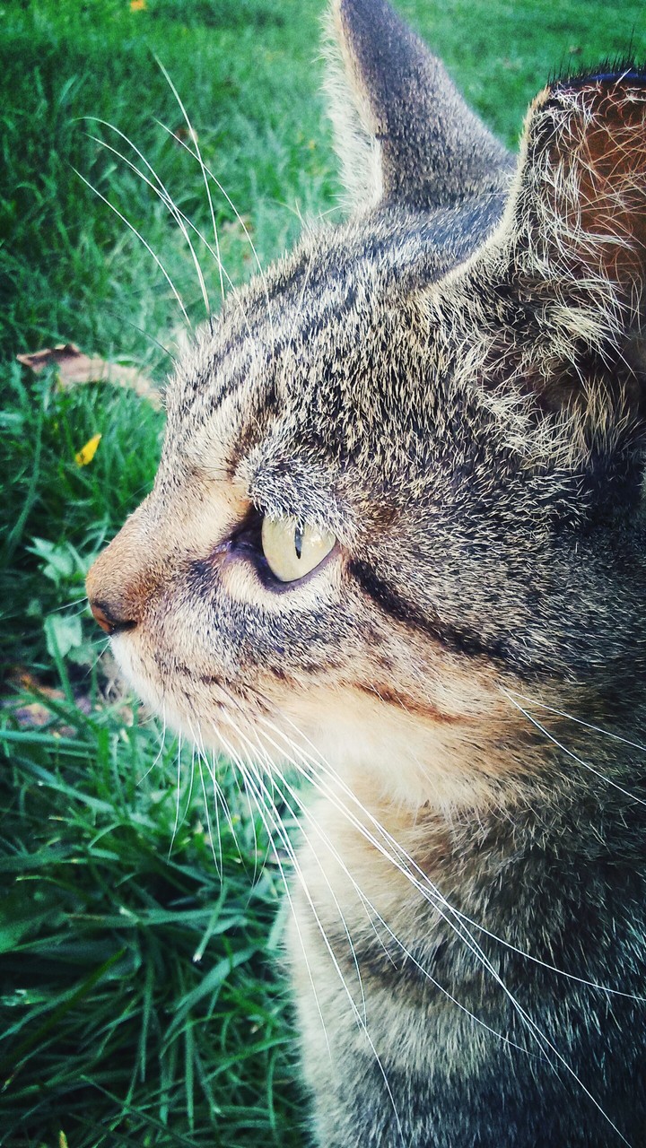 Summer Memories