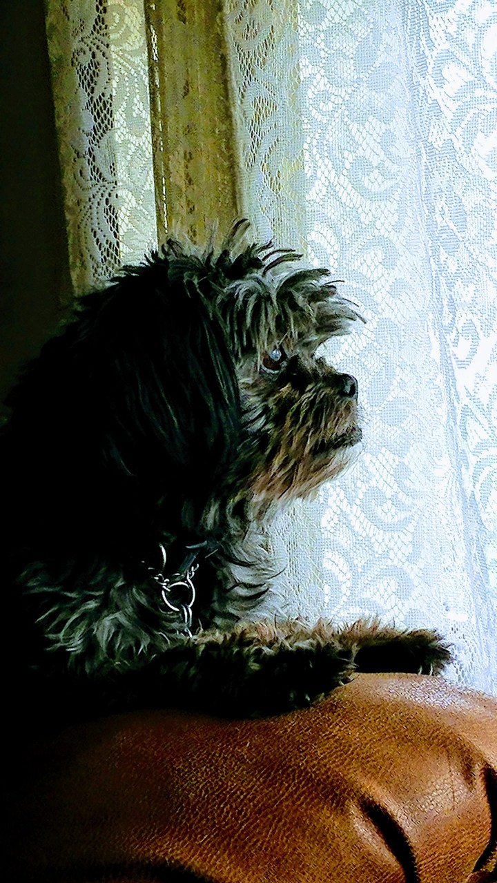 Miss Stinkie