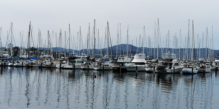 Harbour