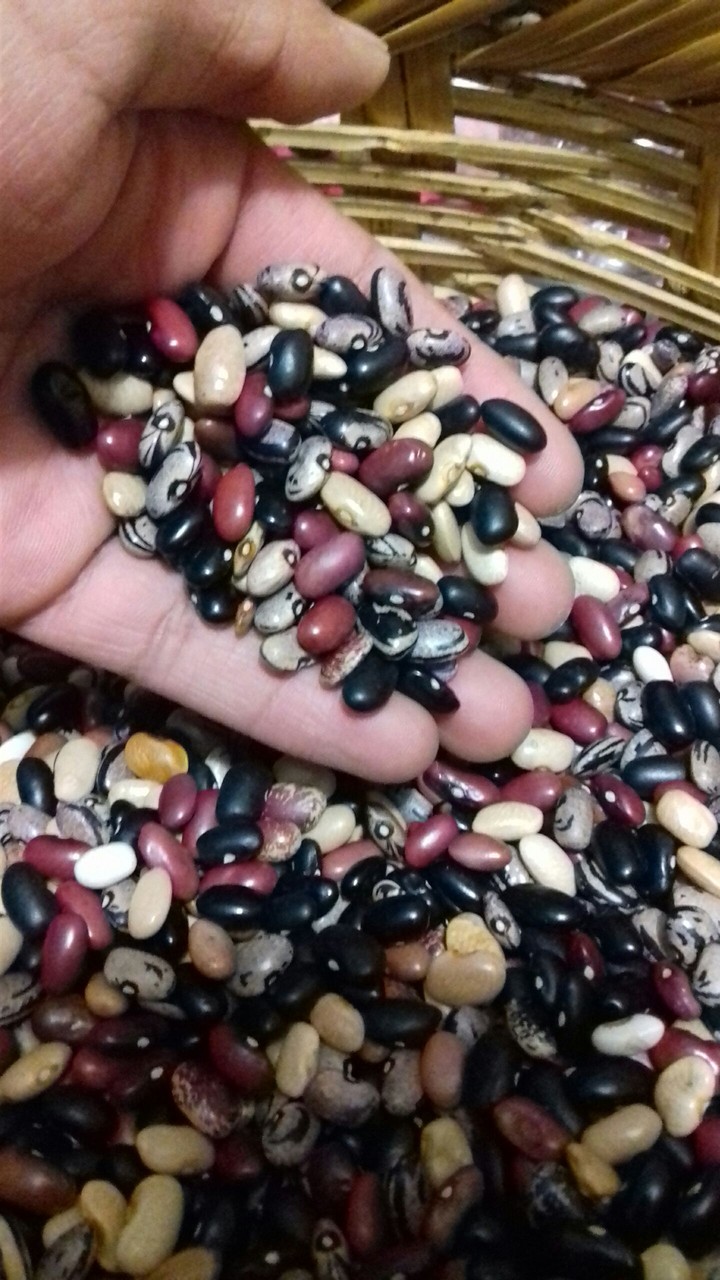 frijoles