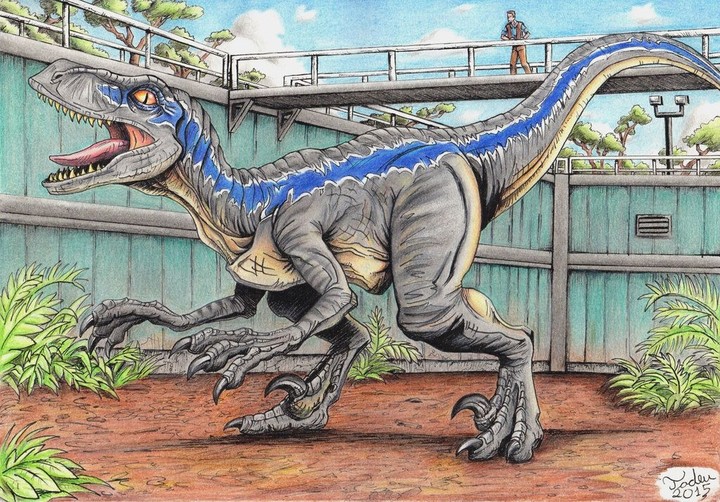 raptor blu