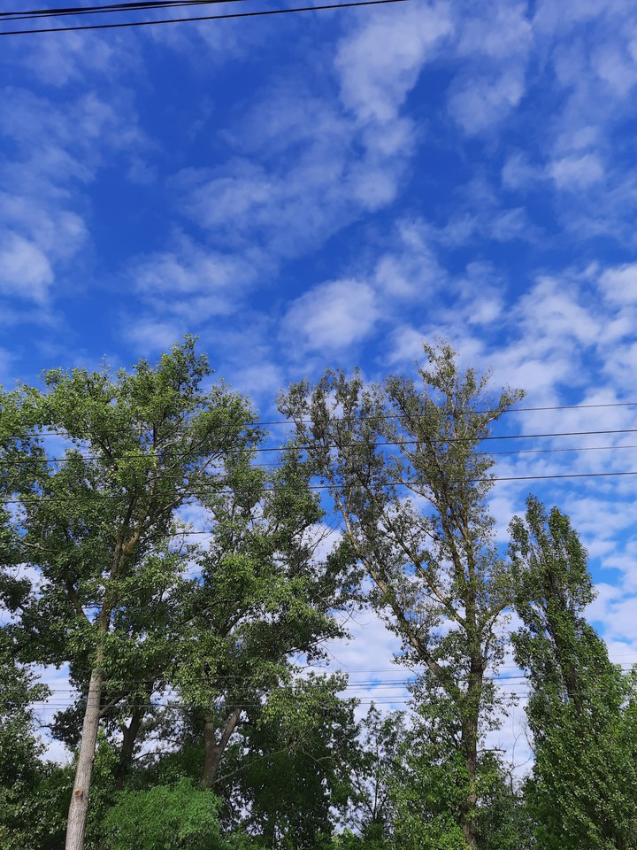 Sky