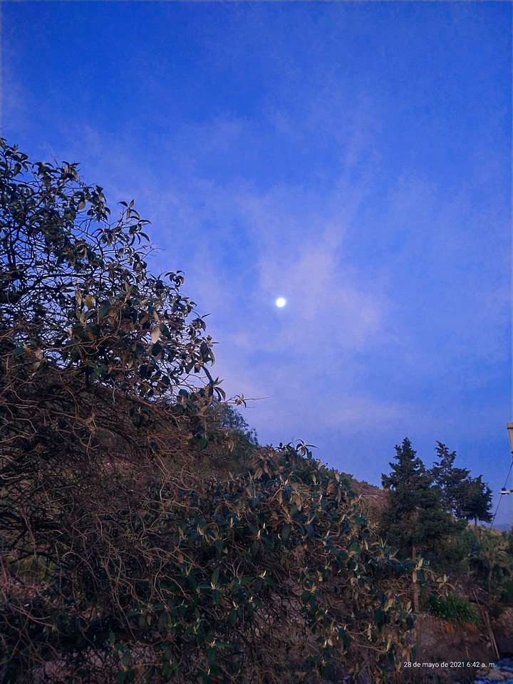 moon