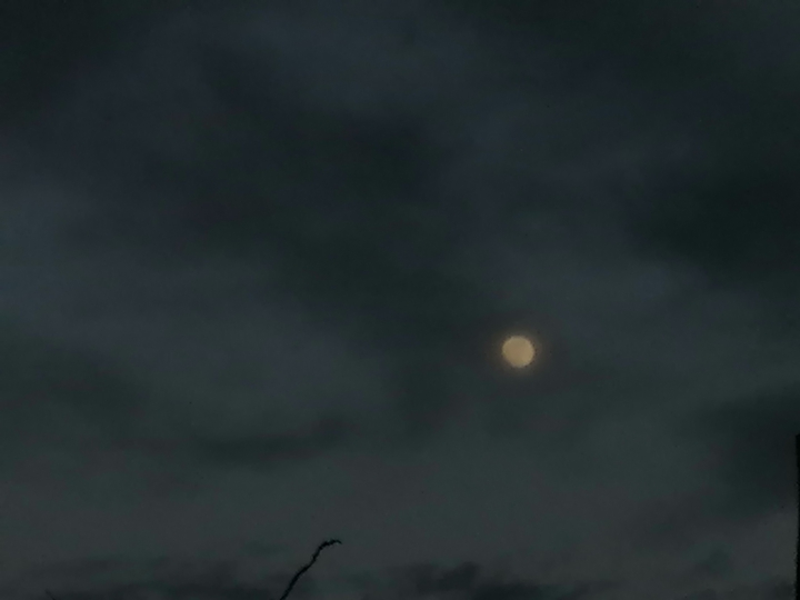 The Moon!!!
