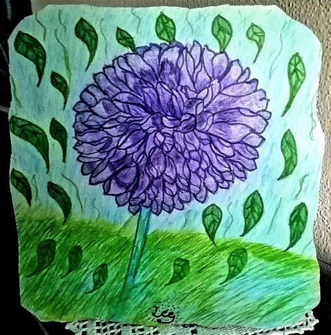 dalia