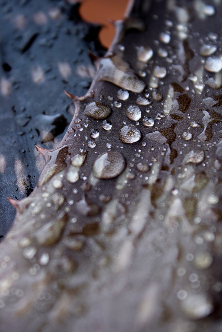 After rain