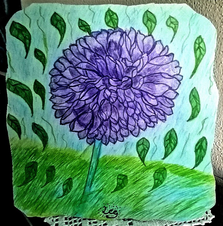 dalia