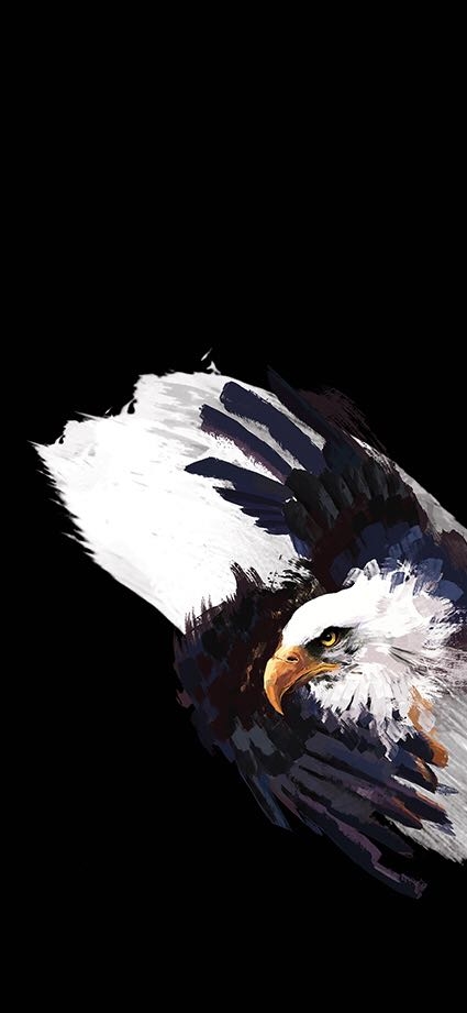 EAGLE PAINTING