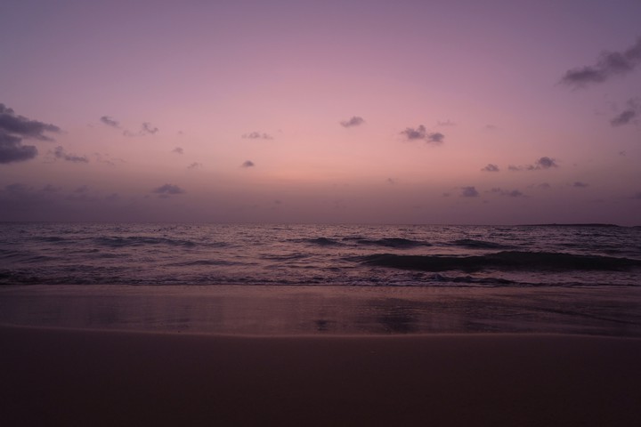 Sea and the horizon