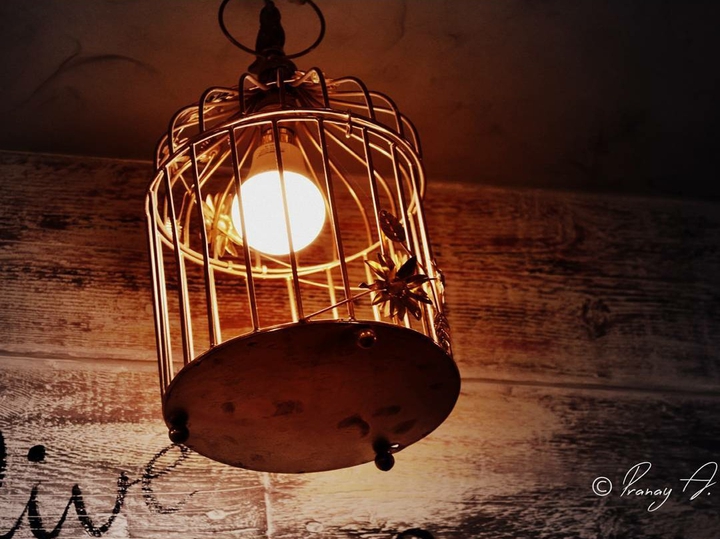 Live ~ Life - Light