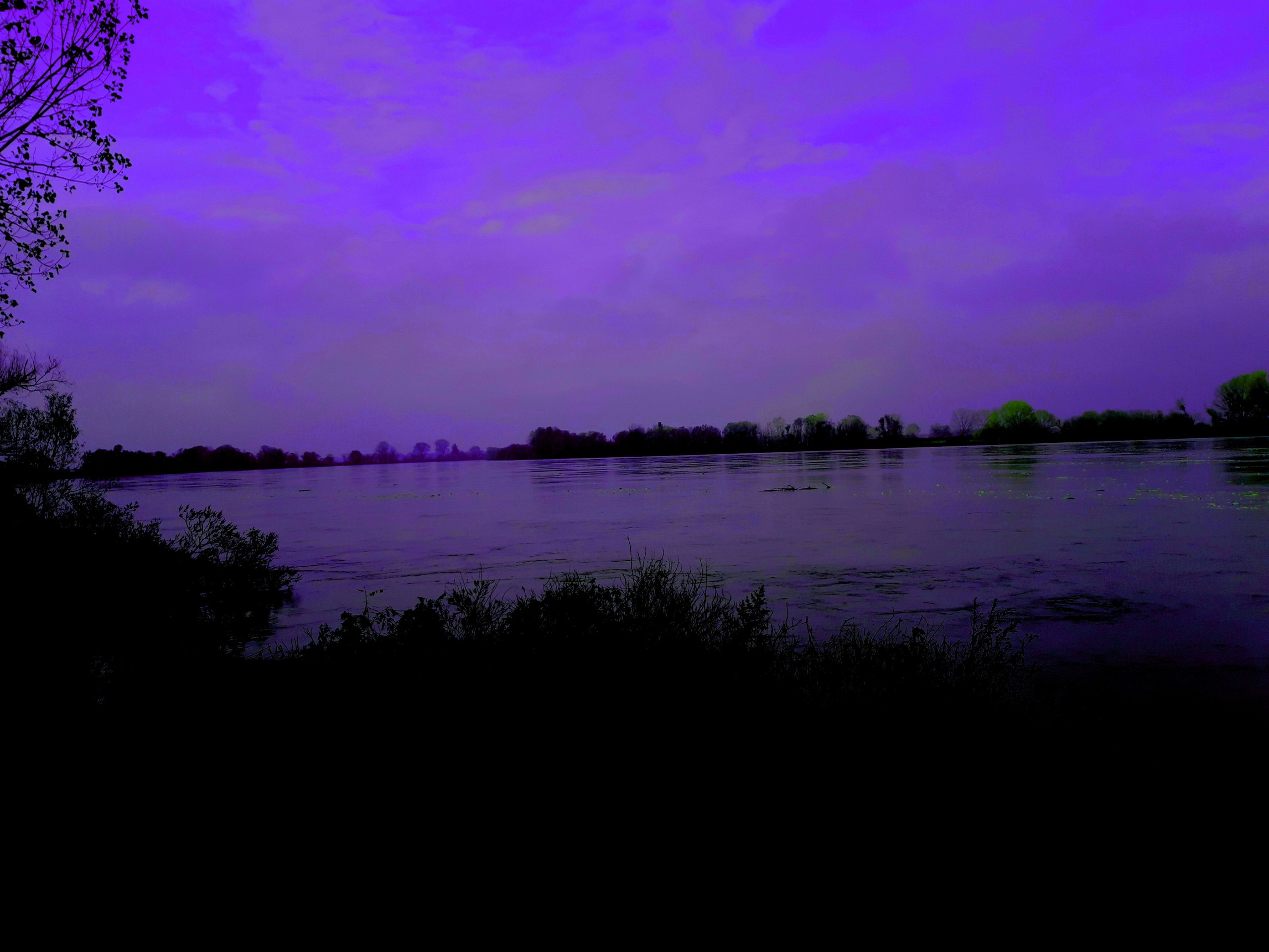 effect night purple by me