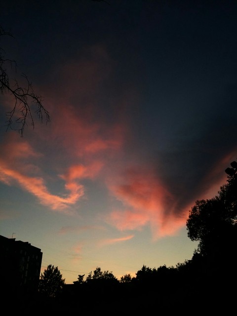 Night Sky