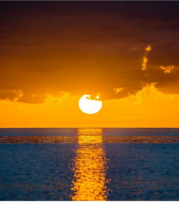 sol