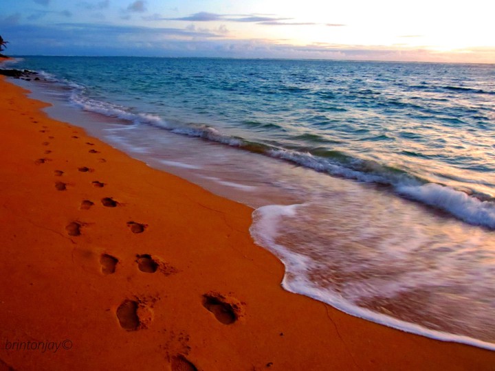 footprints