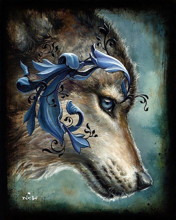 wolf