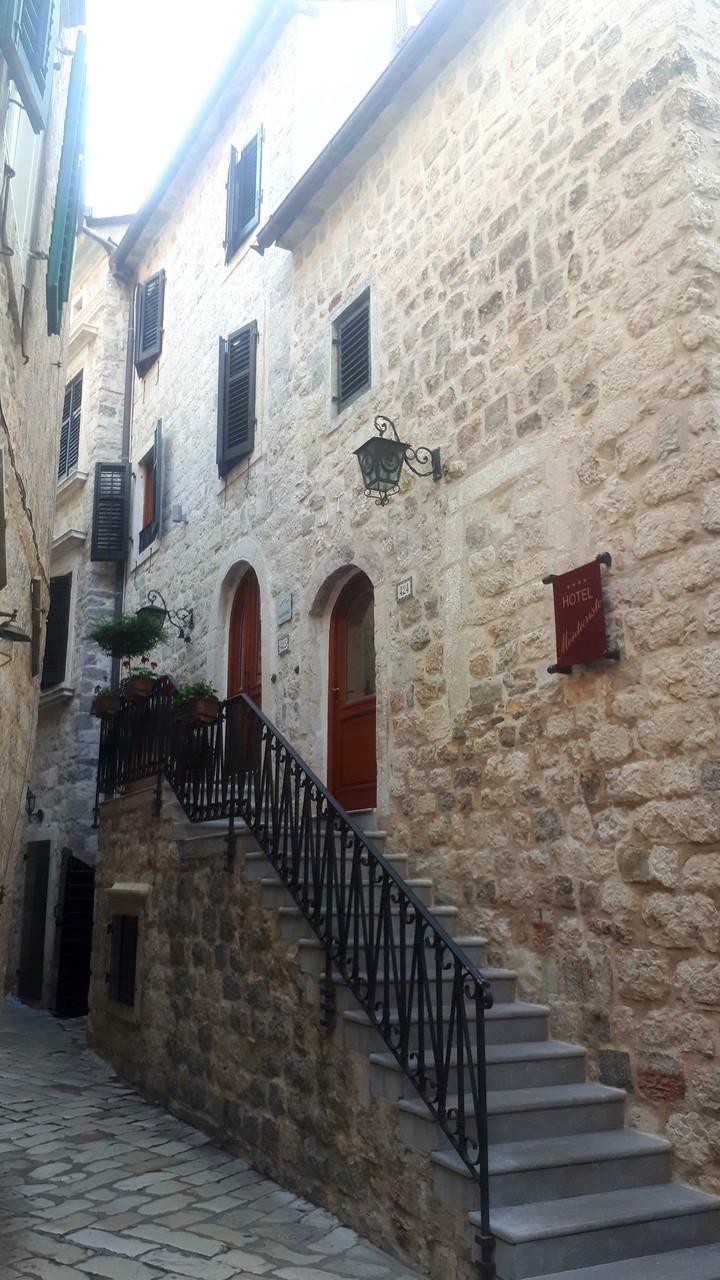 Kotor