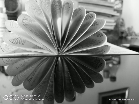 ταπετσαρίες monochrome, White