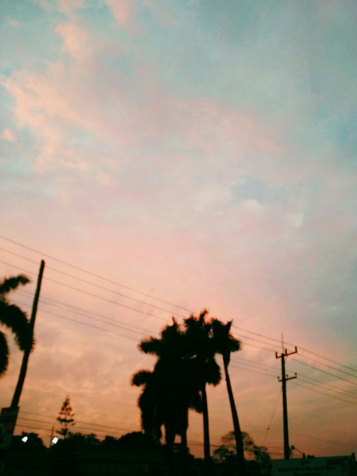 sky pink