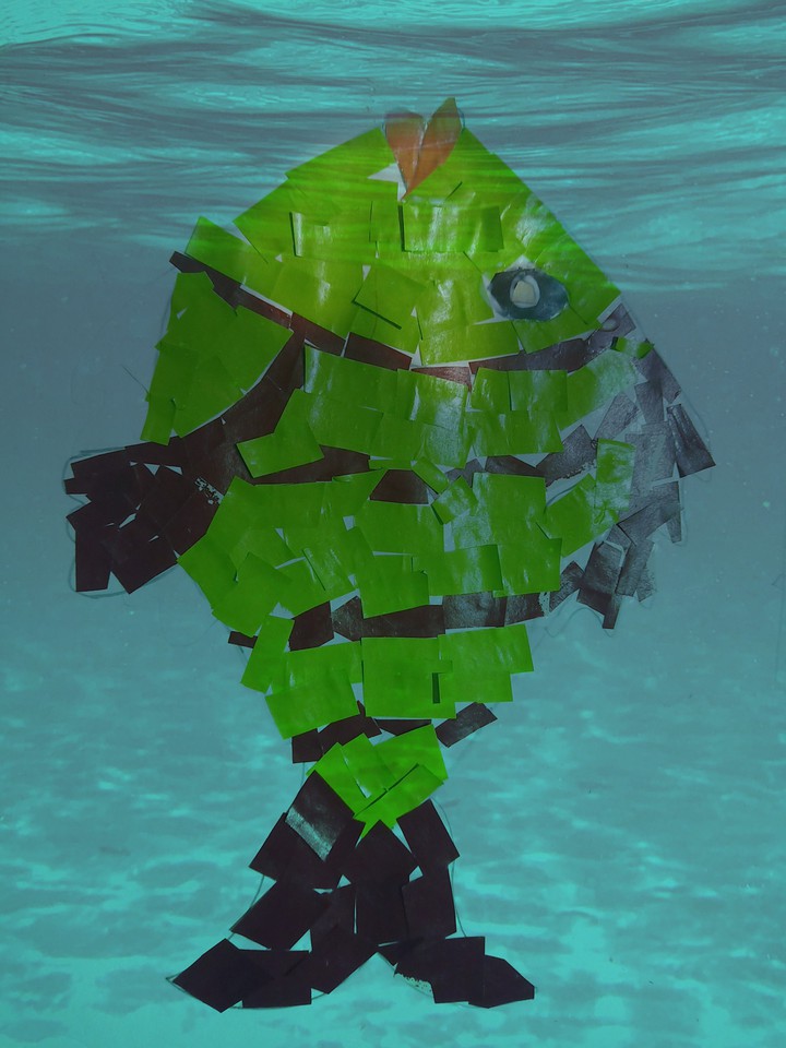 Paper Fish