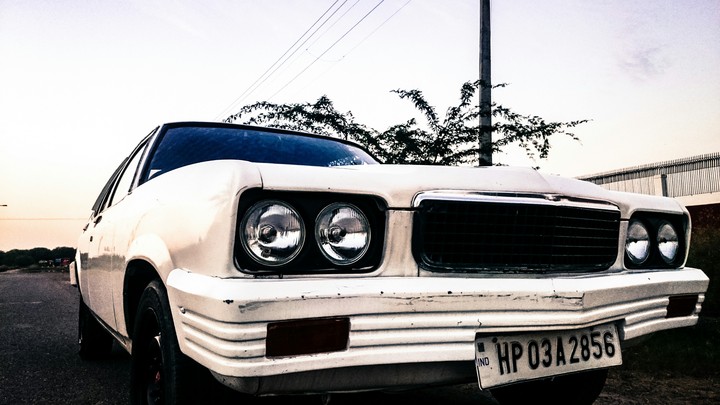 Muscle.