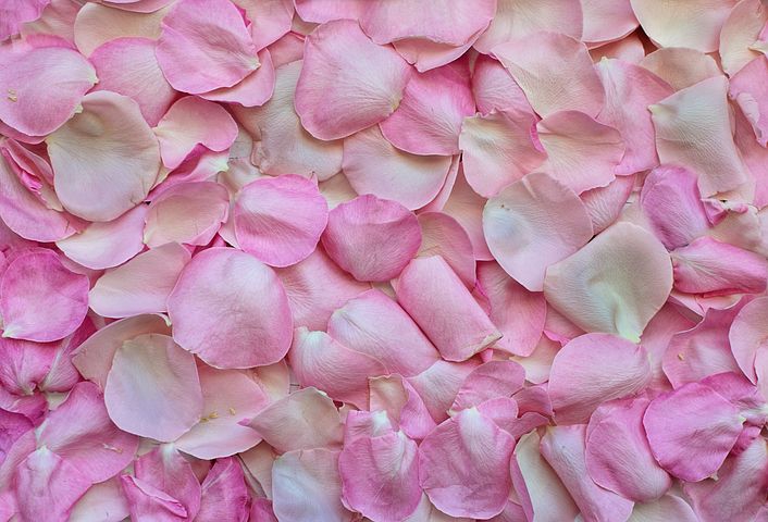 petals