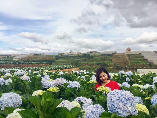 ĐÀ LẠT
