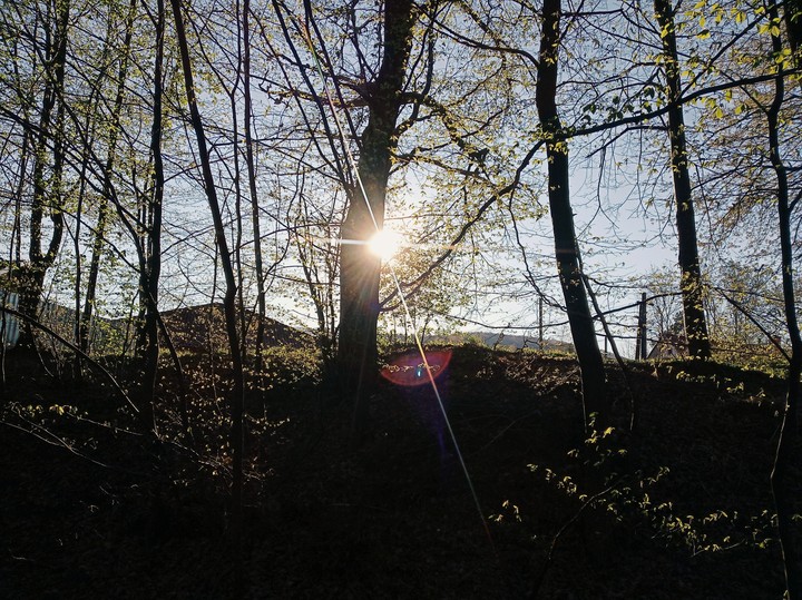 Nice sun?