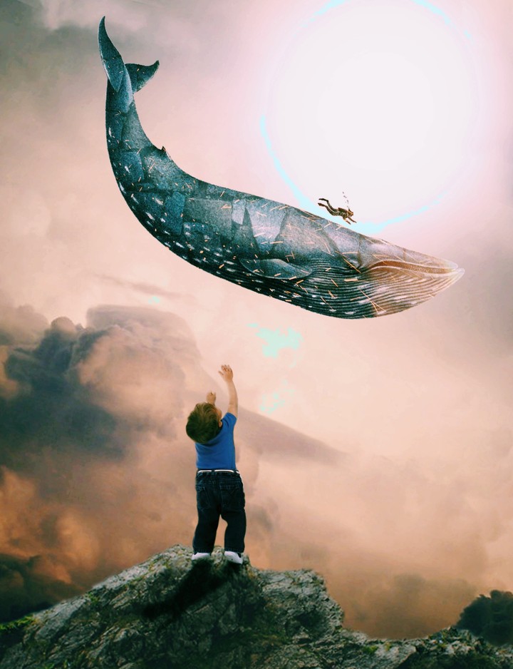 child and whale