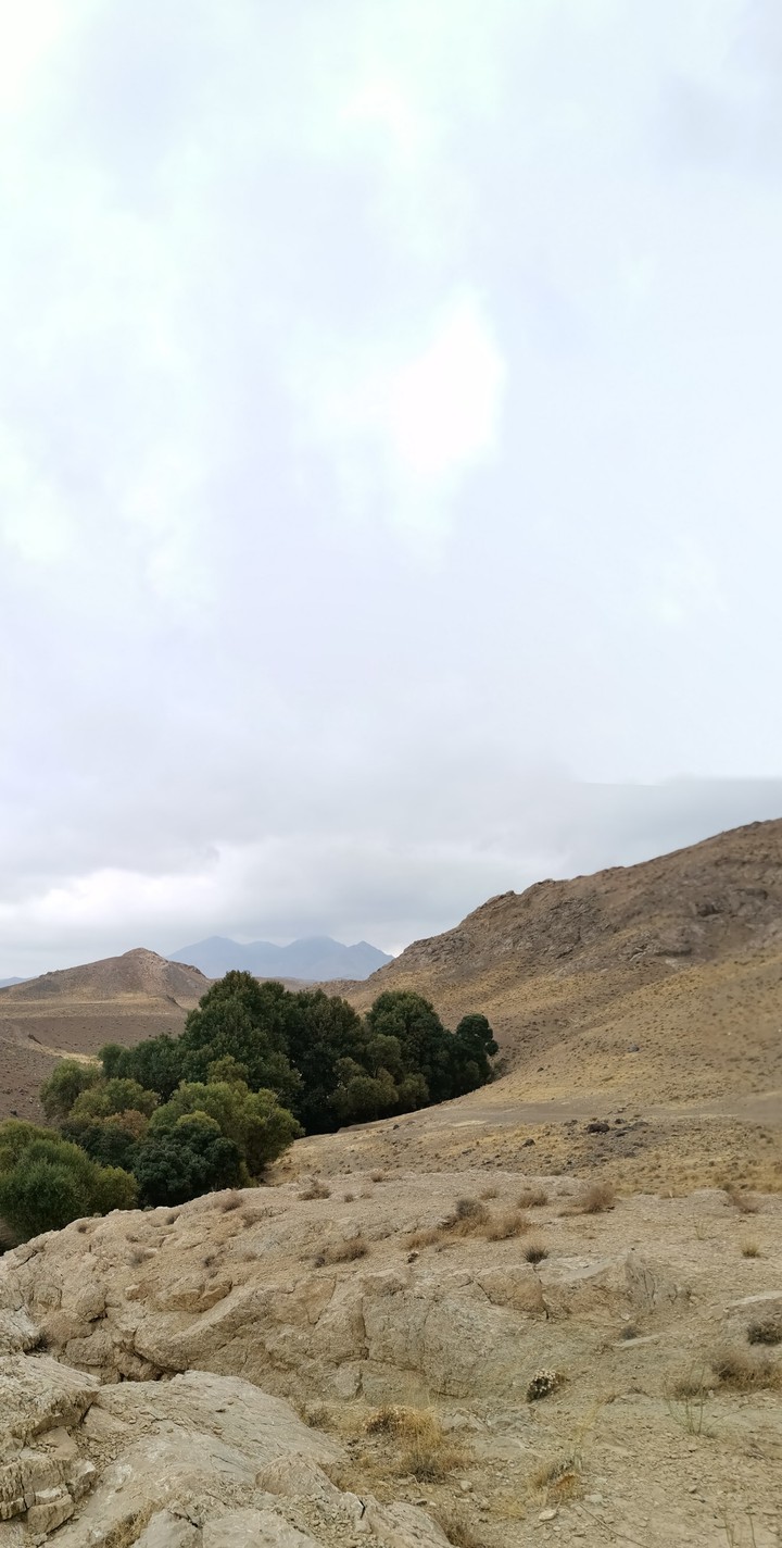 kahak