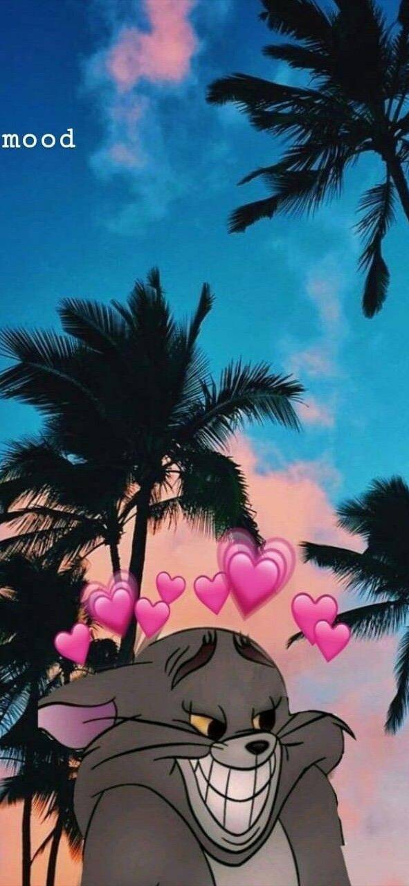 fun