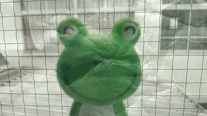 Frog