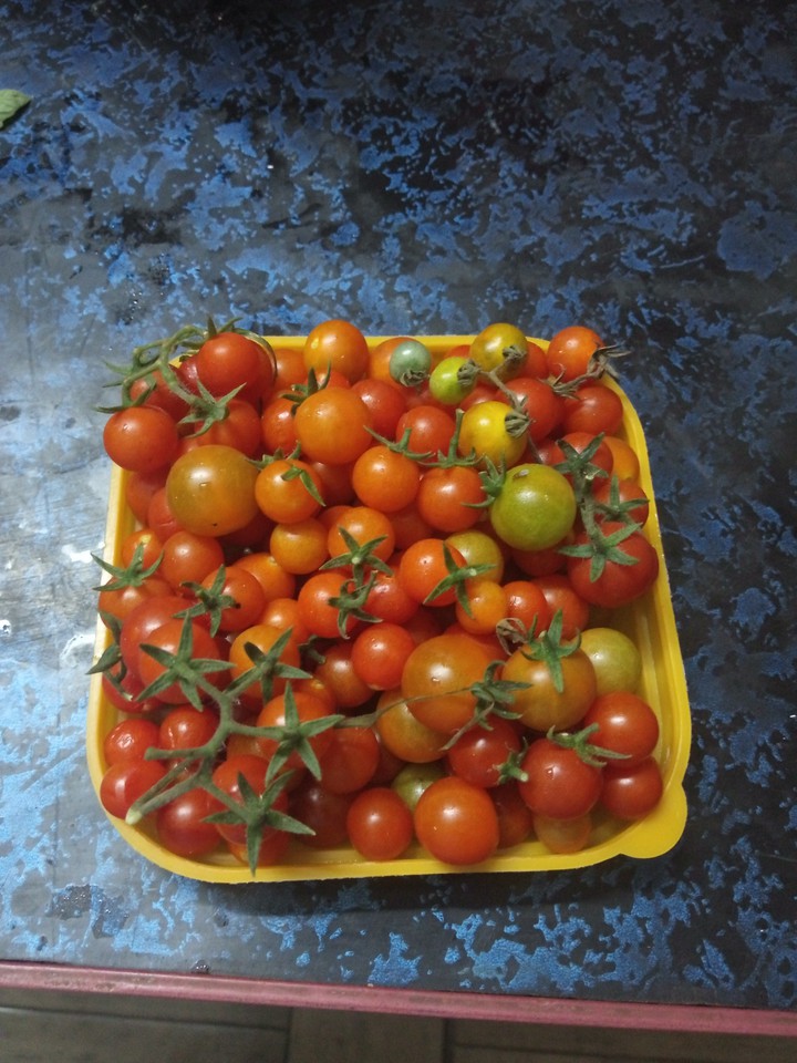 ? tomatoes