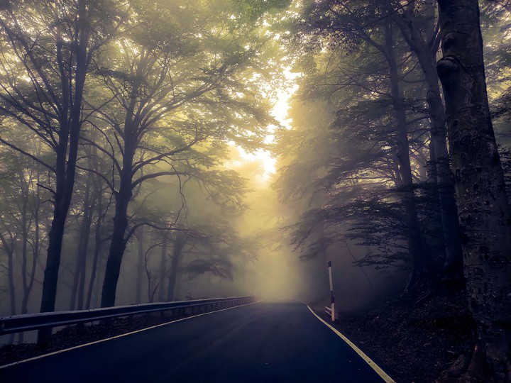 Dark road