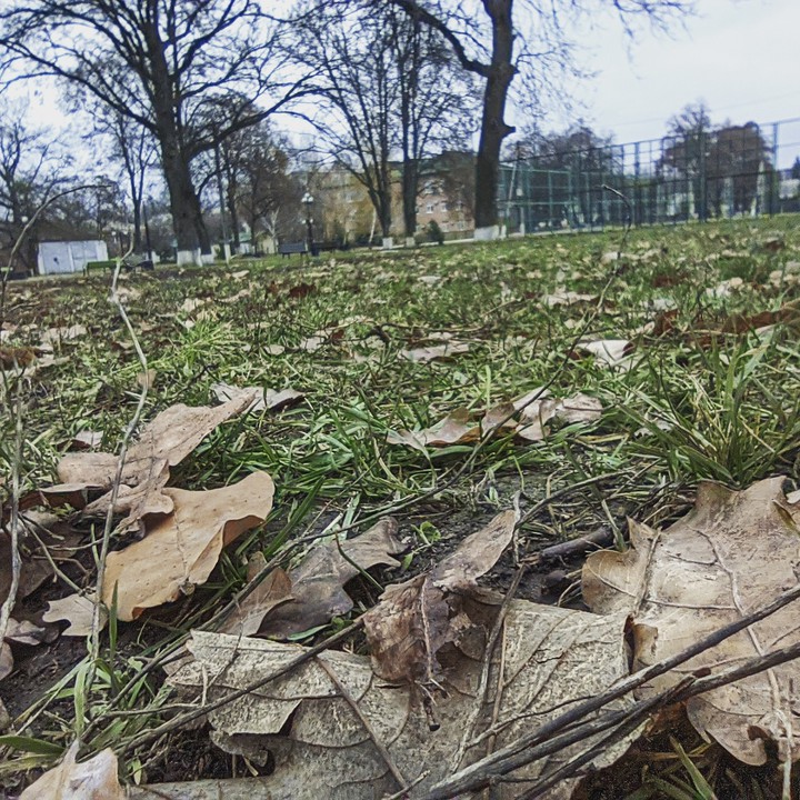 #Україна #осінь #autumn