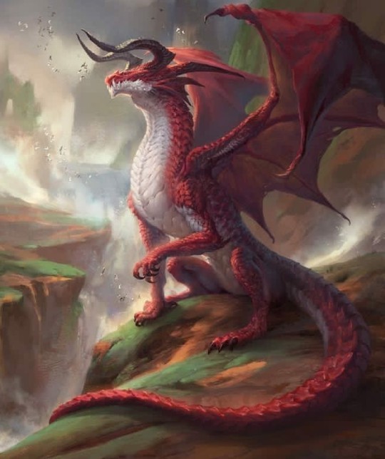reddrqgon737eud