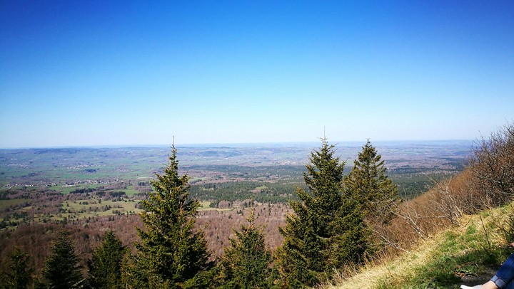 forêt