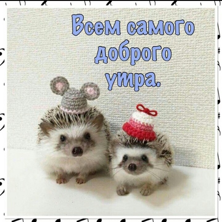 утро самый хороший момент