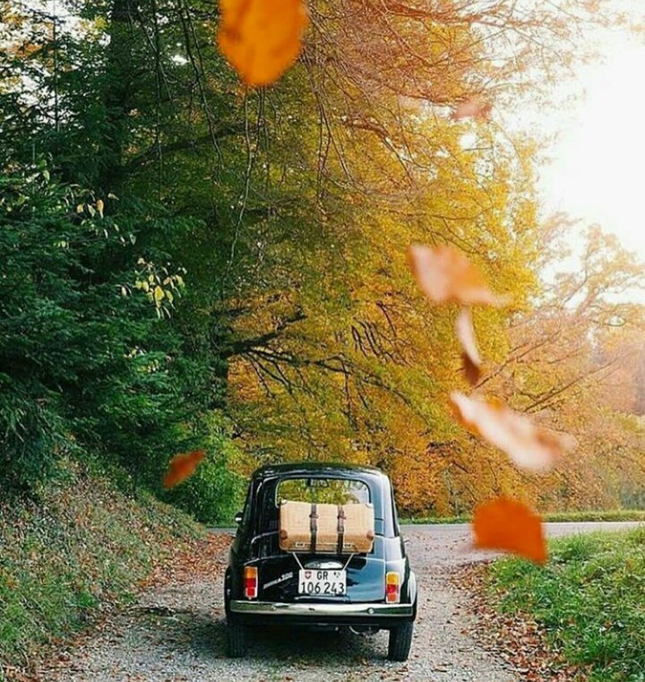 پاییز